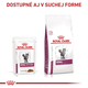 Royal Canin Renal Beef in Gravy kapsičky v omáčce pro kočky na podporu funkce ledvin 12×85 g
