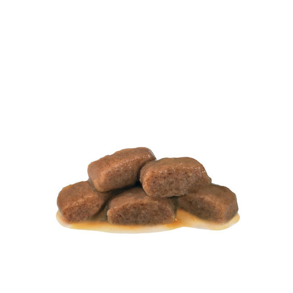 Royal Canin Renal Beef in Gravy kapsičky v omáčce pro kočky na podporu funkce ledvin 12×85 g