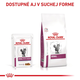 Royal Canin Renal Chicken in Gravy kapsičky v omáčce pro kočky na podporu funkce ledvin 12×85 g