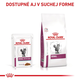 Royal Canin Renal Fish in Gravy kapsičky v omáčce pro kočky na podporu funkce ledvin 12×85 g