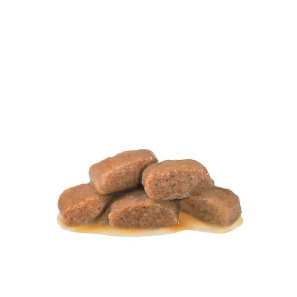 Royal Canin Renal Fish in Gravy kapsičky v omáčce pro kočky na podporu funkce ledvin 12×85 g