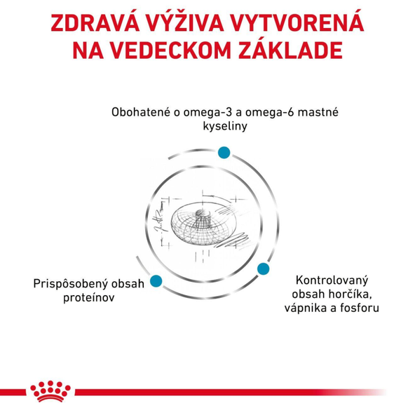 Royal Canin Skin & Coat granule pro kočky na podporu zdraví kůže 1,5 kg