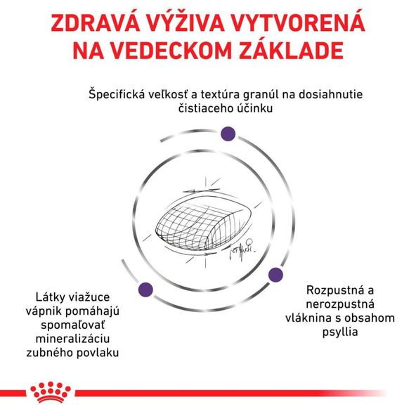 Royal Canin Dental granule pro kočky pro podporu zdraví zubů a dásní 3 kg