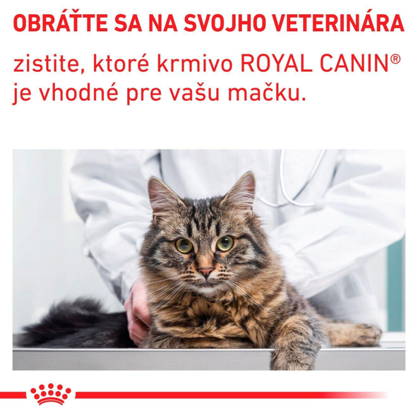 Royal Canin Dental granule pro kočky pro podporu zdraví zubů a dásní 1,5 kg