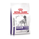 Royal Canin Dental granule pro střední a velké psy na podporu ústní hygieny 6 kg