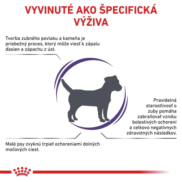 Royal Canin Dental Small Dog granule pro malé psy na podporu ústní hygieny 1,5 kg