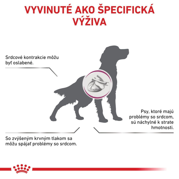 Royal Canin Cardiac Loaf konzerva pro psy se srdečním onemocněním 410 g