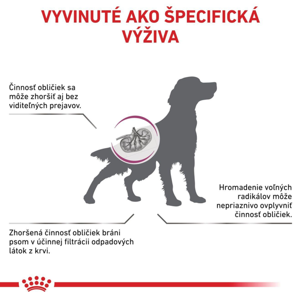 Royal Canin Early Renal granule pro psy na podporu funkce ledvin 2 kg