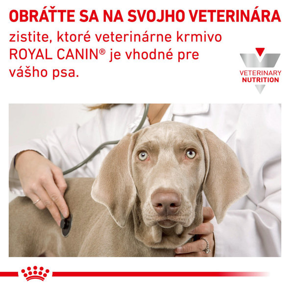 Royal Canin Hypoallergenic Can paštika pro psy s potravinovými alergiemi 400 g