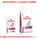 Royal Canin Renal in Gravy kapsičky v omáčce pro psy na podporu funkce ledvin 12×100 g