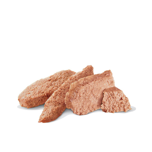 Royal Canin Renal Can konzerva pro psy na podporu funkce ledvin 200 g