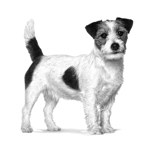 Royal Canin Satiety Weight Management Small Dog granule pro malé psy na redukci hmotnosti 3 kg