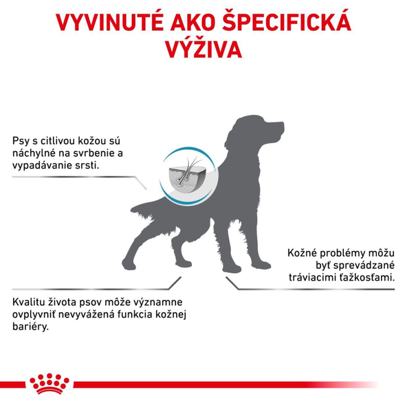 Royal Canin Skin Care granule pro psy s dermatózami a nadměrným vypadáváním srsti 11 kg