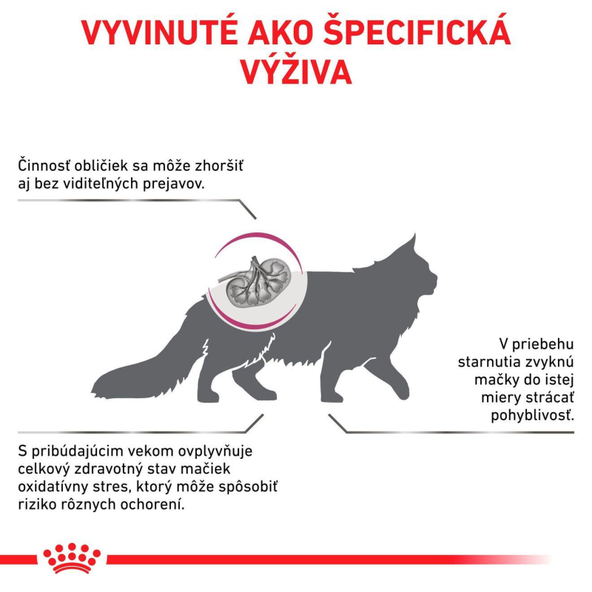 Royal Canin Early Renal granule pro kočky na podporu funkce ledvin 400 g