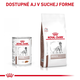 Royal Canin Hepatic Loaf paštika pro psy na podporu funkce jater 420 g
