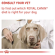 Royal Canin Mature Consult Small Dog granule pro stárnoucí malé psy 3,5 kg