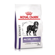 Royal Canin Mature Consult Large Dog granule pro stárnoucí velké psy 14 kg
