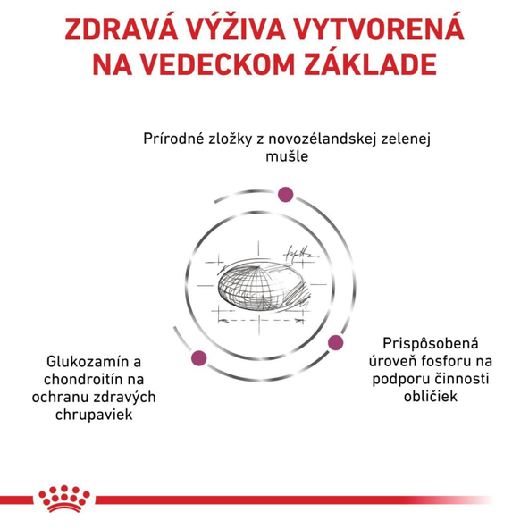 Royal Canin Mobility granule pro kočky na podporu zdraví kloubů 2 kg