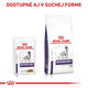 Royal Canin Neutered Gravy kapsičky v omáčce pro kastrované psy 12×100 g