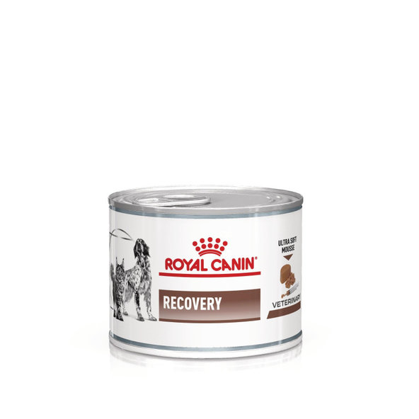 Royal Canin Recovery konzerva pro psy a kočky na podporu rekonvalescence 195 g