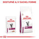 Royal Canin Renal Wet kapsičky pro kočky na podporu funkce ledvin 12×85 g