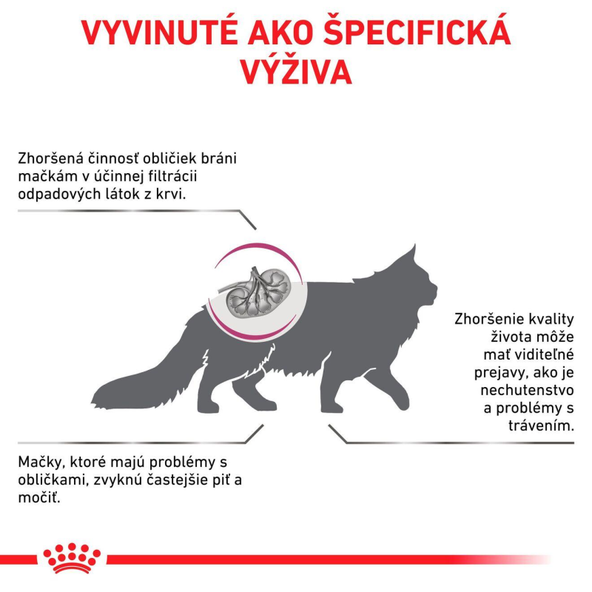 Royal Canin Renal granule pro kočky na podporu funkce ledvin 2 kg