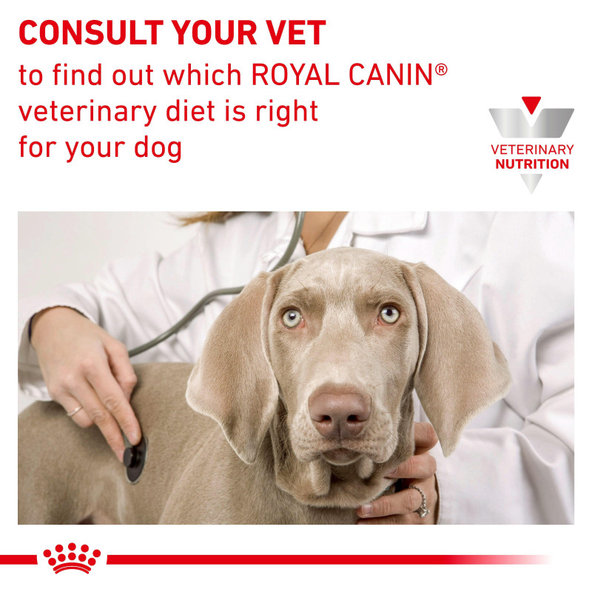 Royal Canin Satiety Weight Management Dog Wet konzerva pro psy na redukci hmotnosti 410 g