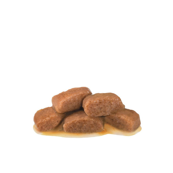 Royal Canin Gastrointestinal Fibre Response kapsičky pro dospělé kočky s vyšším obsahem vlákniny 12×85 g