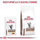 Royal Canin Gastrointestinal Fibre Response kapsičky pro dospělé kočky s vyšším obsahem vlákniny 12×85 g