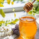 Theratuss ProNatural sirup na suchý a vlhký kašel 128 g