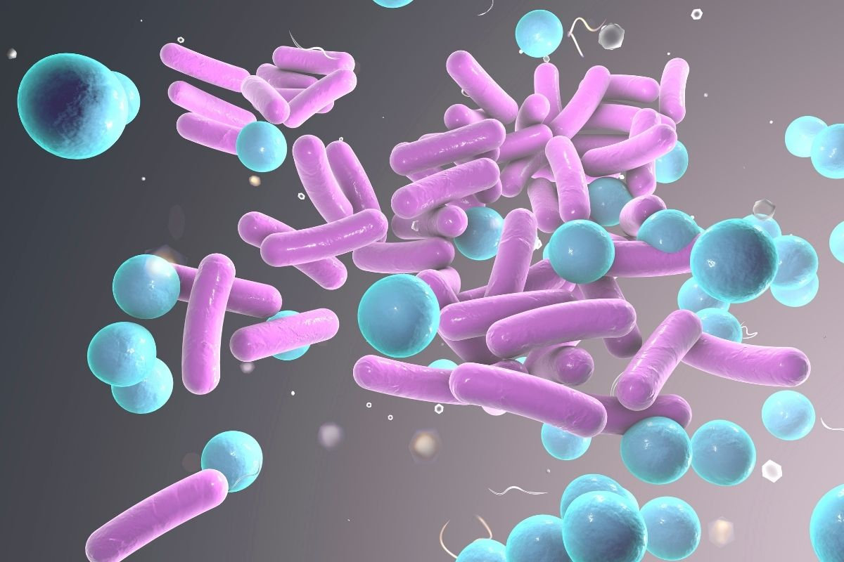  Bakterie Salmonella způsobující salmonelózu a zažívací potíže
