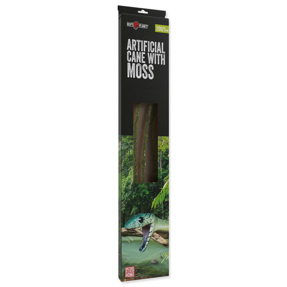 Repti Planet liána s mechem 1 cm x 200 cm