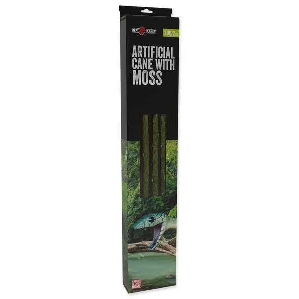Repti Planet liána s mechem 2 cm x 200 cm