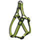 Active Dog Premium postroj limetka velikost L 2,5×65-99cm