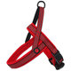 Active Dog Neoprene postroj červený velikost S 1,5×45-55cm