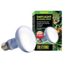 Exo Terra žárovka Daylight Basking Spot 100 W