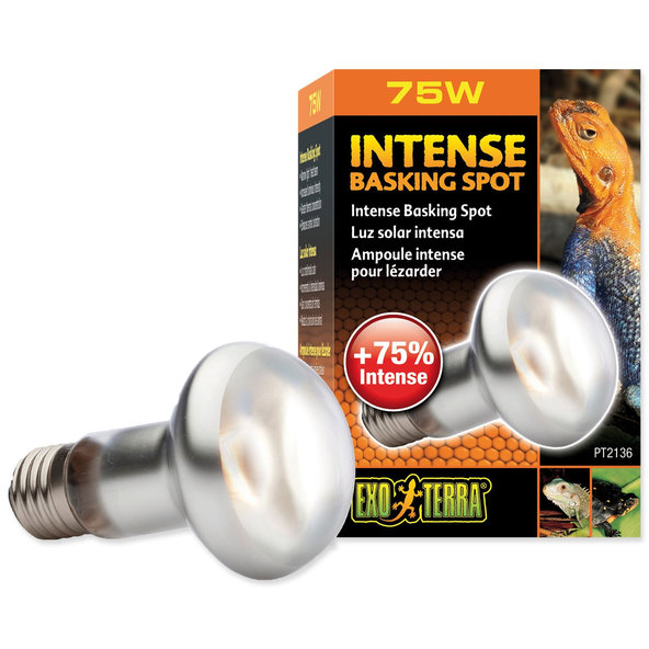 Exo Terra žárovka Intense Basking Spot 75 W