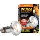 Exo Terra žárovka Intense Basking Spot 75 W