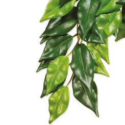 Exo Terra dekorace rostlina textil Ficus velká