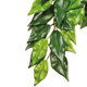 Exo Terra dekorace rostlina textil Ficus velká