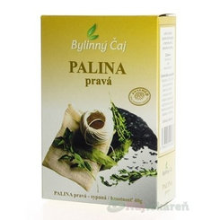 Juvamed Pelyněk pravý nať bylinný čaj 40 g