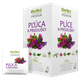 HERBEX Premium plíce a průdušky bylinný čaj 20x1,5 g