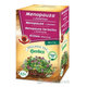HERBEX menopauza s jetelem bylinný čaj 20x3 g