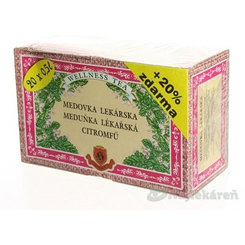 HERBEX meduňka lékařská čaj 20x3 g