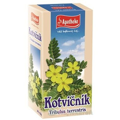 APOTHEKE Kotvičník zemní 20x1,5 g