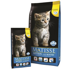 Farmina Matisse Cat Kitten granule pro koťata 1,5 kg