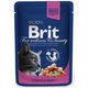 Brit Premium Cat kapsička Adult Salmon & Trout 100 g