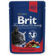 Brit Premium Cat kapsička Adult Beef Stew & Peas 100 g