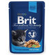 Brit Premium Cat kapsička Kitten Chicken Chunks 100 g