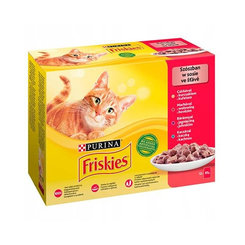 Friskies Multipack kapsičky kuře hovězí jehněčí kachna 12x85 g